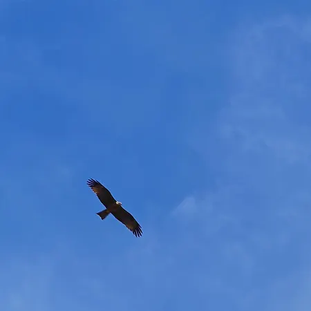 Montana-camping-fayon * Fayón