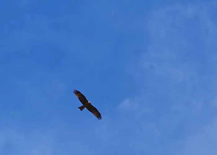 Montana-camping-fayon * Fayón